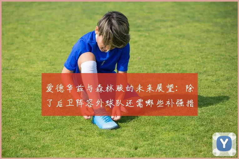 爱德华兹与森林狼的未来展望：除了后卫阵容外球队还需哪些补强措施